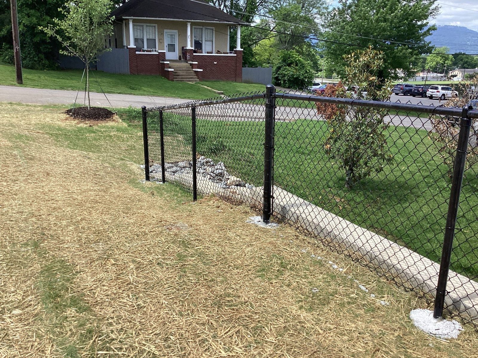 Black chain link fence in a yard